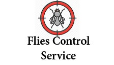 Flies control service