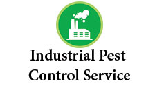 Industrial pest control service