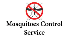 Mosquitoes control service