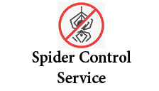 Spider control service