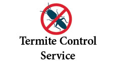 Termite control service