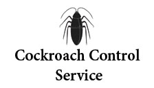 Cockroach control service